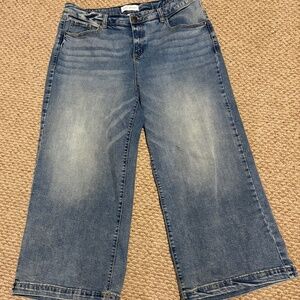 Lane Bryant Wide leg Crop Pants size 12